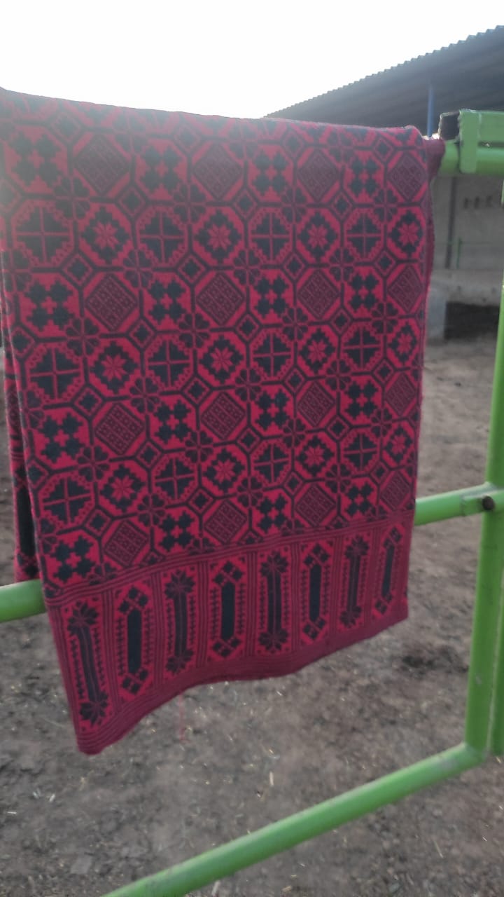 Red Majnu Khes