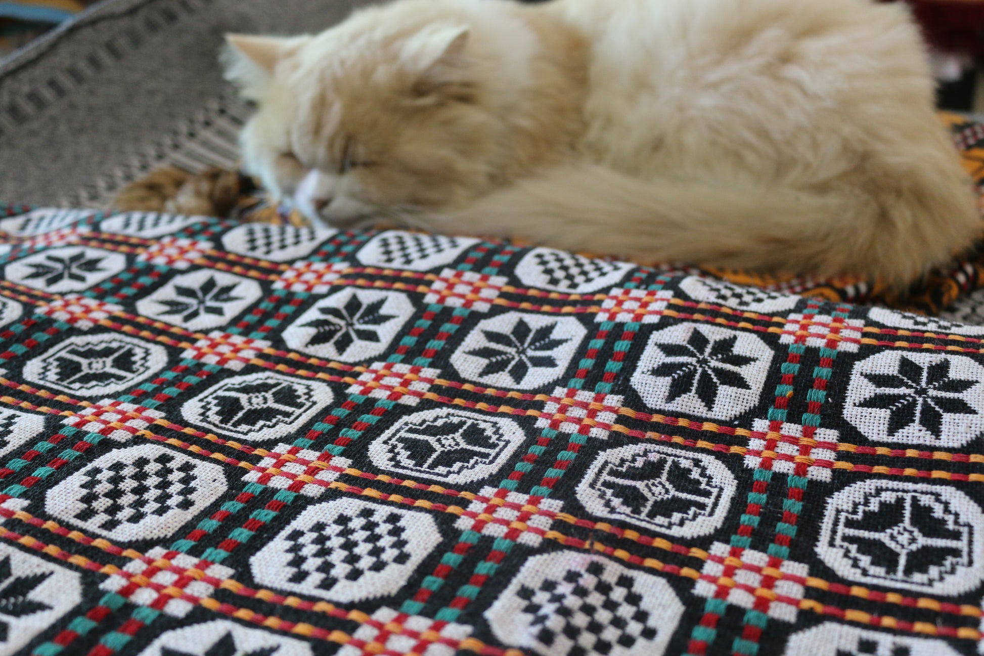 Handwoven khes in black and ivory with geometric octagonal motifs and multicolor grid – Bistaray