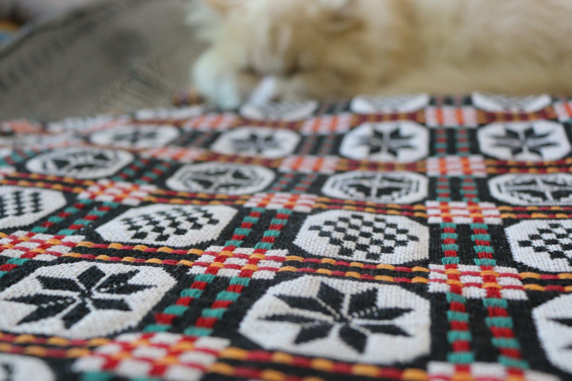 Handwoven khes in black and ivory with geometric octagonal motifs and multicolor grid – Bistaray